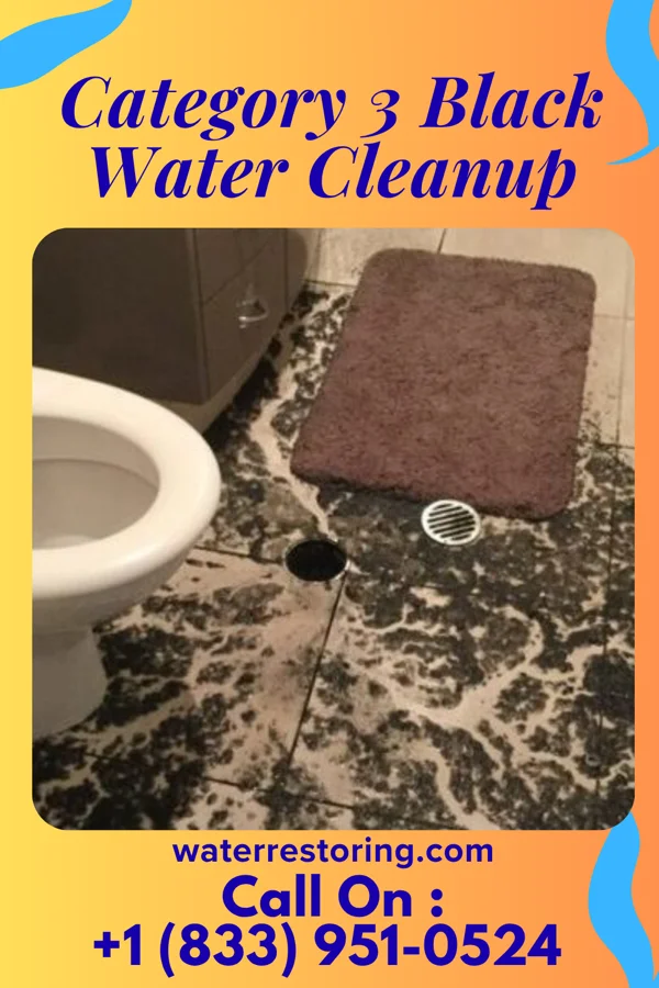 Category 3 Black Water Cleanup in Fruitland, NC