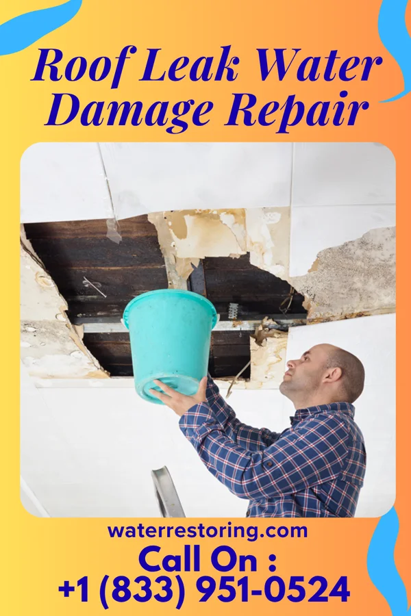 Roof Leak Water Damage Repair in Fruitland, NC