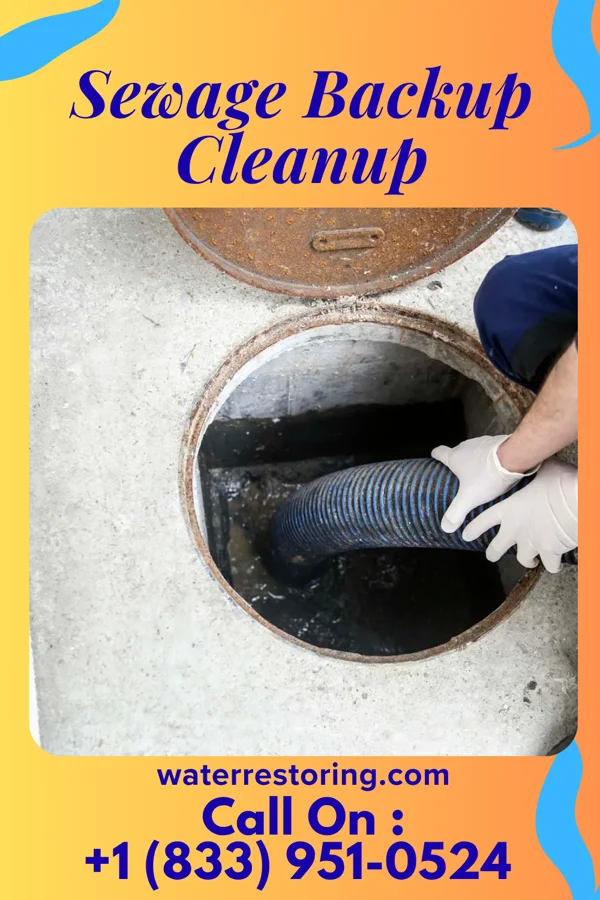 Sewage Backup Cleanup in Fruitland, NC