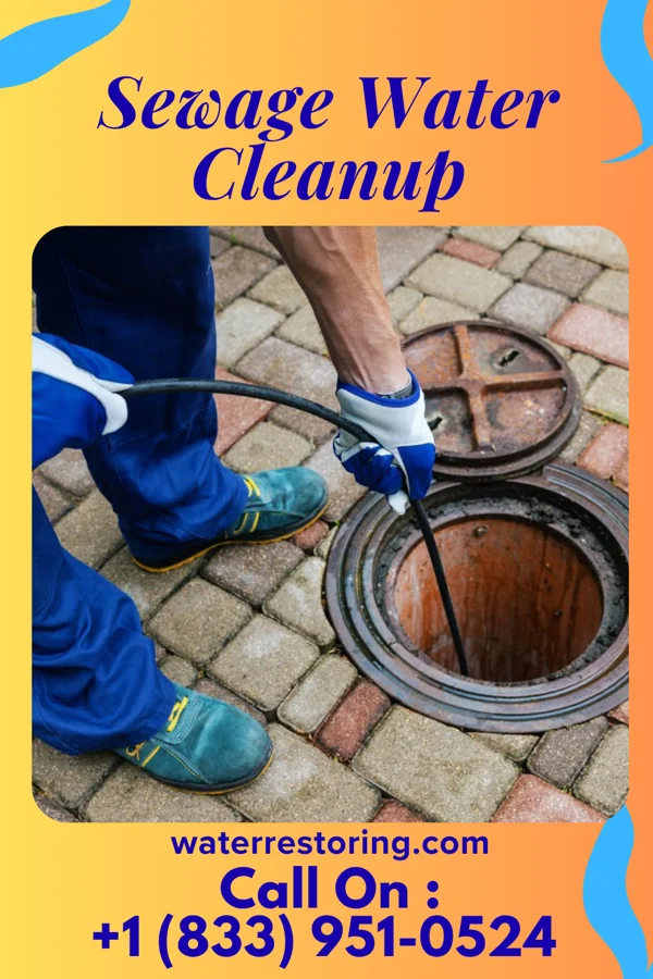 Sewage Water Cleanup in Fruitland, NC