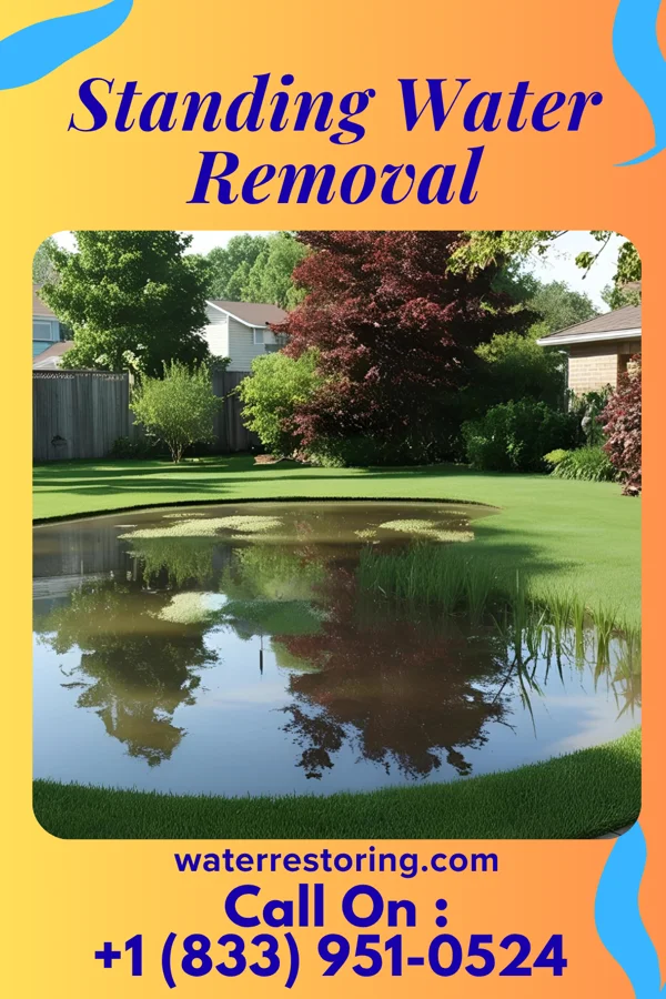 Standing Water Removal in Fruitland, NC